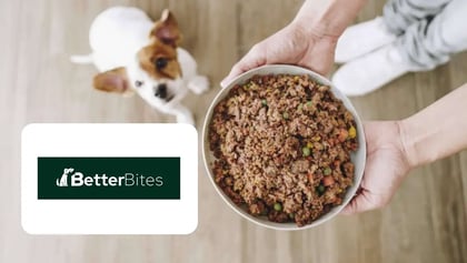 better_bites