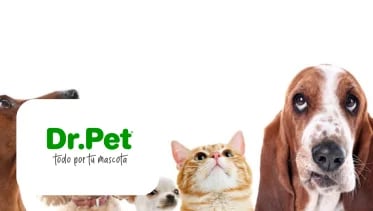 Dr-Pet