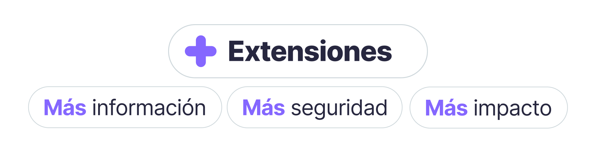 Banner +Extensiones-1