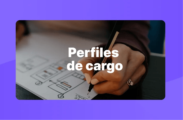 perfil-de-cargo-ejemplo