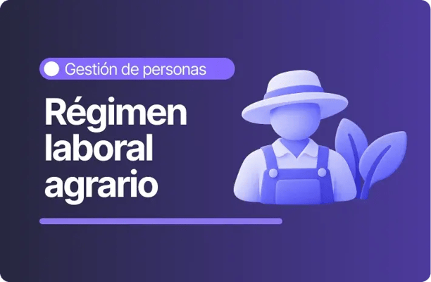 Banner morado con la etiqueta 