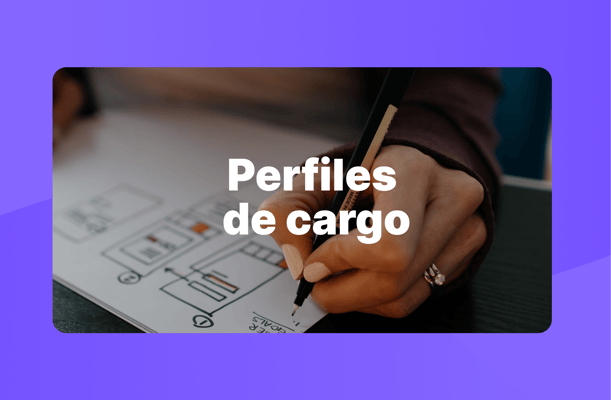 perfil-de-cargo-ejemplo