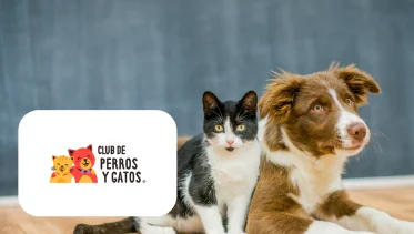 Club-de-Perros-y-Gatos